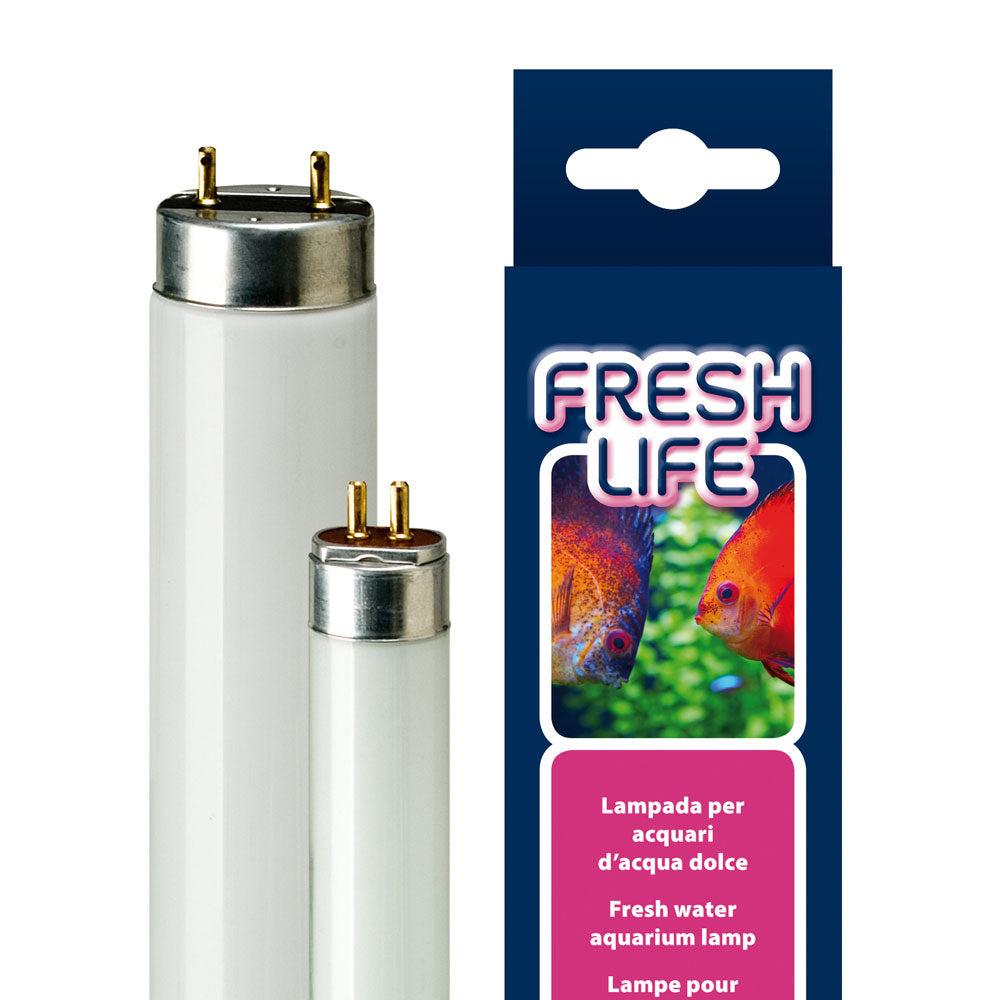 Aquarium And Fish Tank Equipments |  Freshlife Aquarium And Fish Tank Equipments Aquarium And Fish Tank Equipments