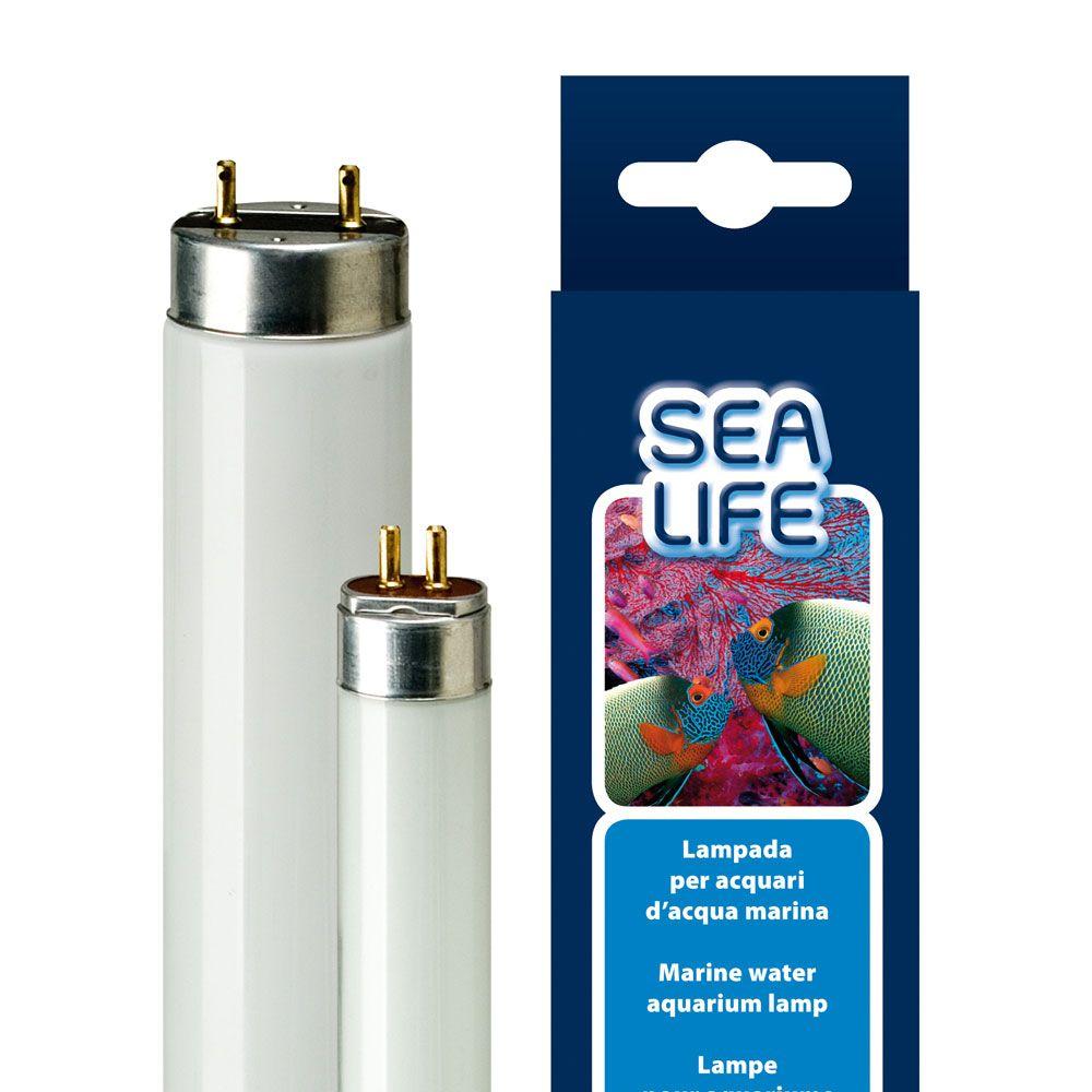 Aquarium And Fish Tank Equipments |  Sealife Aquarium And Fish Tank Equipments Aquarium And Fish Tank Equipments