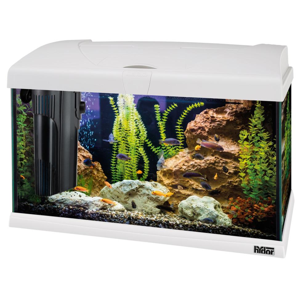 Aquariums, Fish Tanks And Stands |  Capri 50 Led – 40 L Aquariums, Fish Tanks And Stands 0018_White