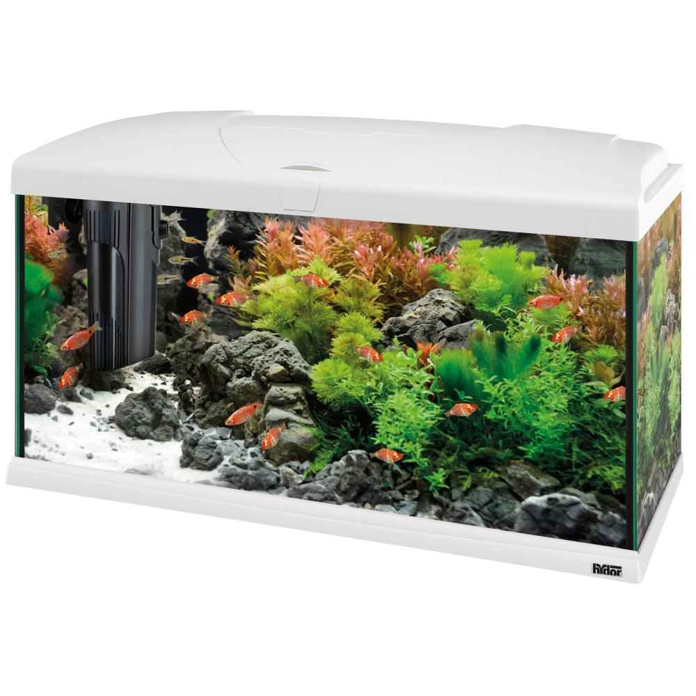 Aquariums, Fish Tanks And Stands |  Capri 80 Led – 100 L Aquariums, Fish Tanks And Stands 0018_White