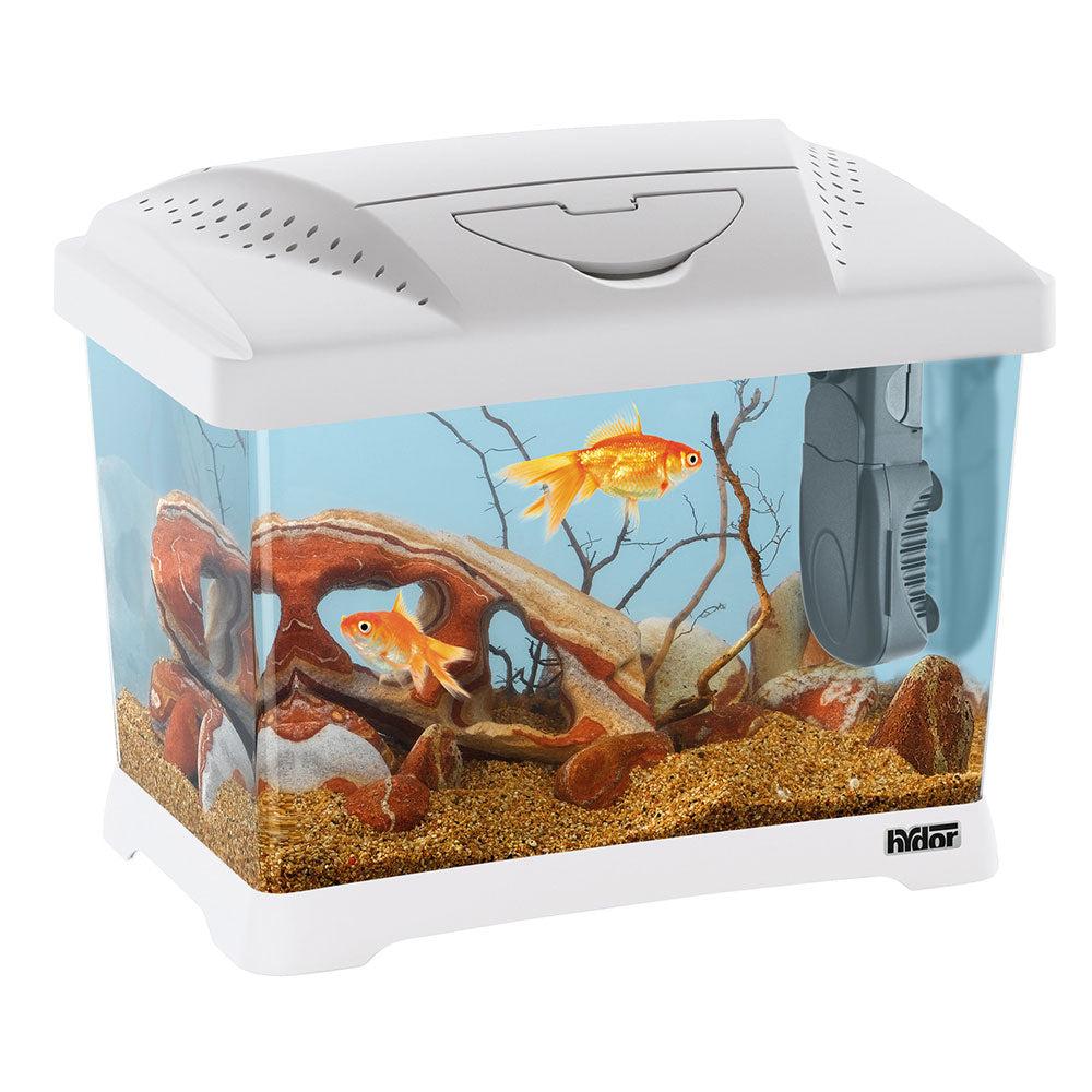 Aquariums, Fish Tanks And Stands |  Capri Junior – 21 L Aquariums, Fish Tanks And Stands Aquariums, Fish Tanks And Stands