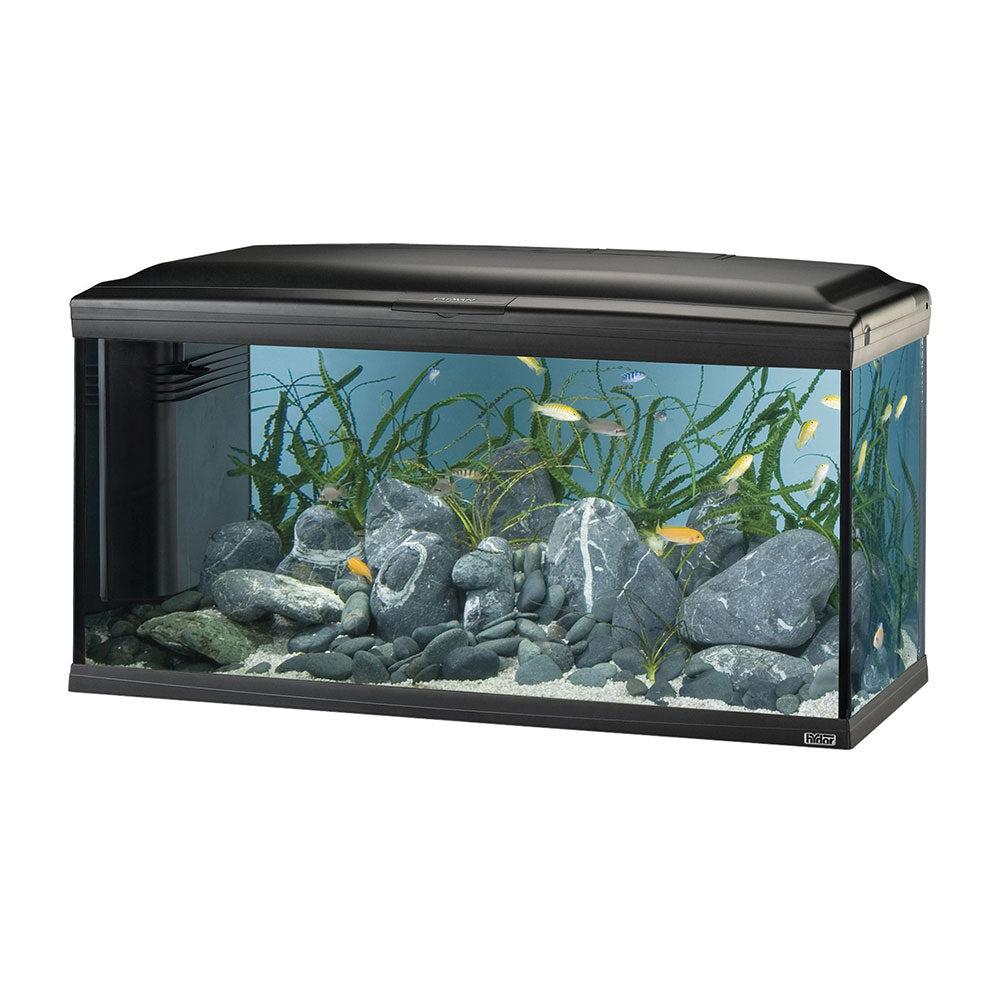 Aquariums, Fish Tanks And Stands |  Cayman 110 Professional Led – 230 L Aquariums, Fish Tanks And Stands Aquariums, Fish Tanks And Stands