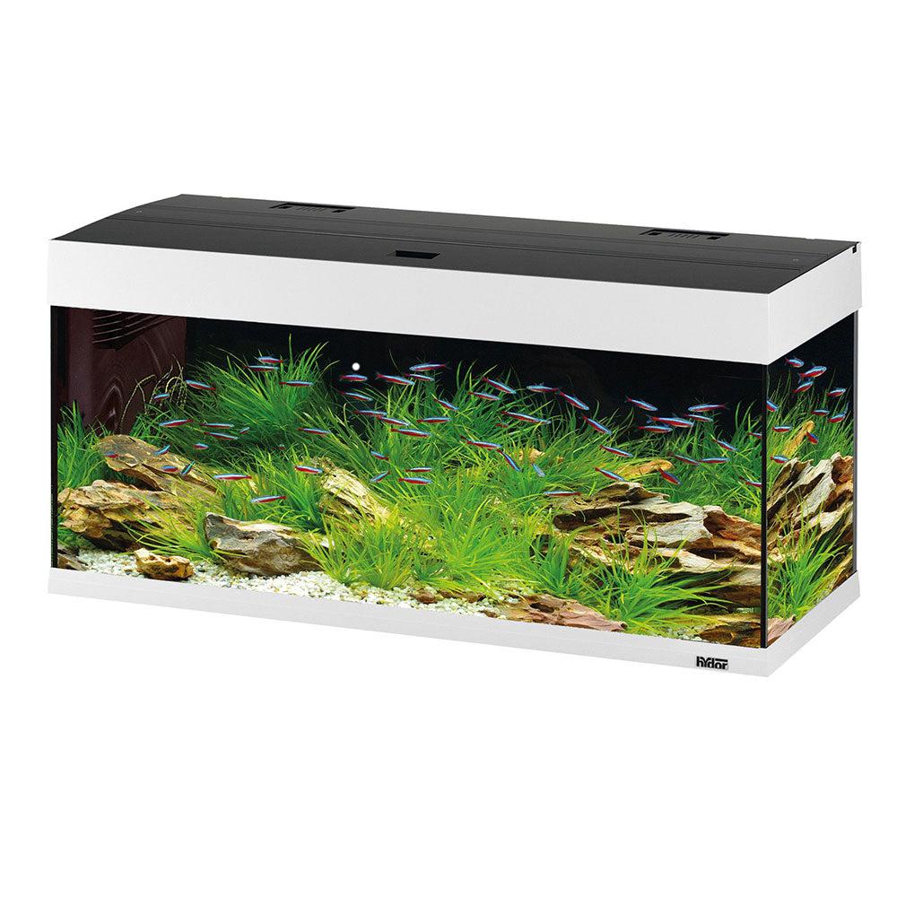 Aquariums, Fish Tanks And Stands |  Dubai 120 Led – 240 L Aquariums, Fish Tanks And Stands 0018_White