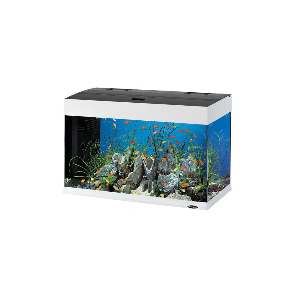 Aquariums, Fish Tanks And Stands |  Dubai 80 Led – 125 L Aquariums, Fish Tanks And Stands 0018_White