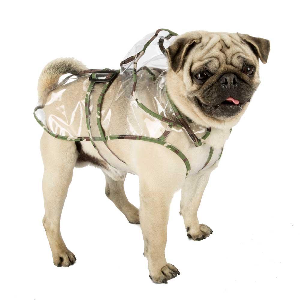 Dog Clothing |  Raincoat Dog Clothing Dog Clothing