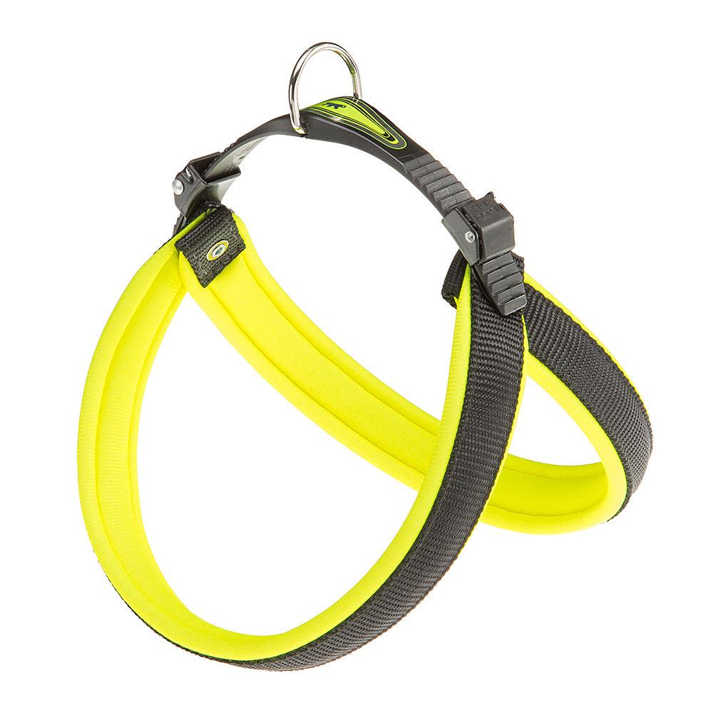 Dog Leads And Collars |  Agila Fluo 3-9 Dog Leads And Collars 0004_Orange