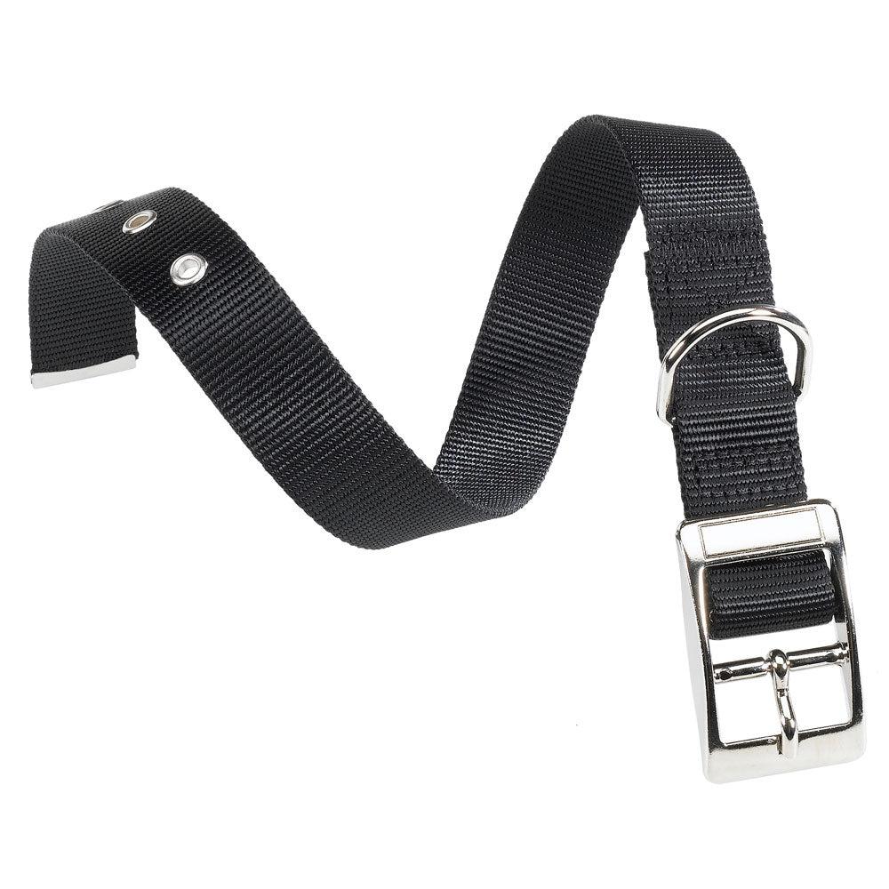 Dog Leads And Collars |  Club Cf Dog Leads And Collars 0014_Green