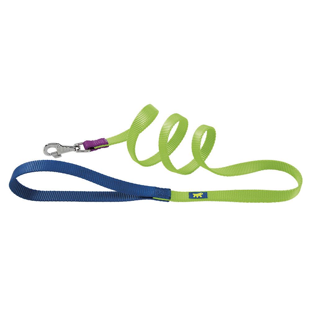 Dog Leads And Collars |  Club G Colours Dog Leads And Collars 0023_Violet