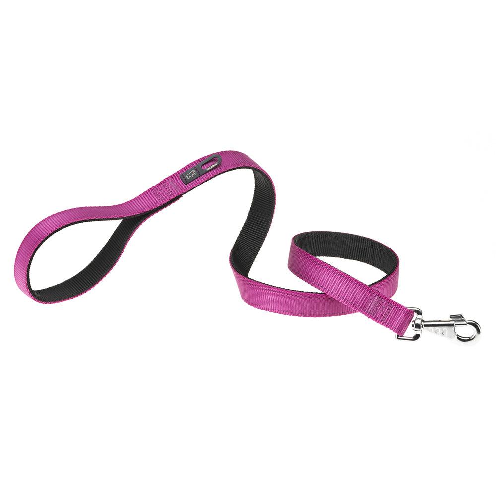 Dog Leads And Collars |  Dual G Colours Dog Leads And Collars 0004_Orange