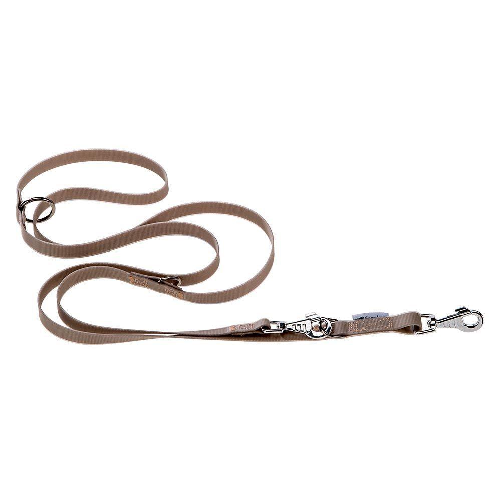 Dog Leads And Collars |  Evolution Ga Dog Leads And Collars 0002_Black