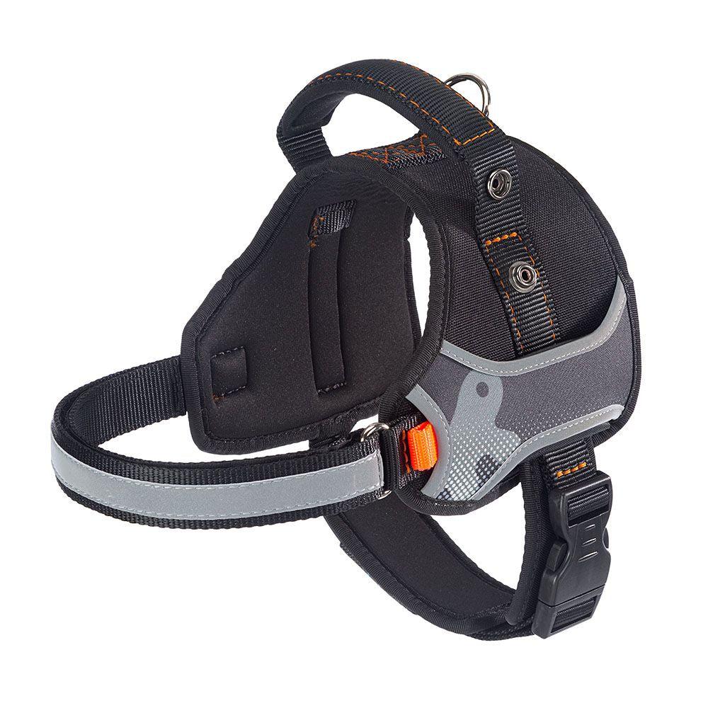 Dog Leads And Collars |  Hercules P S Dog Leads And Collars 0002_Black