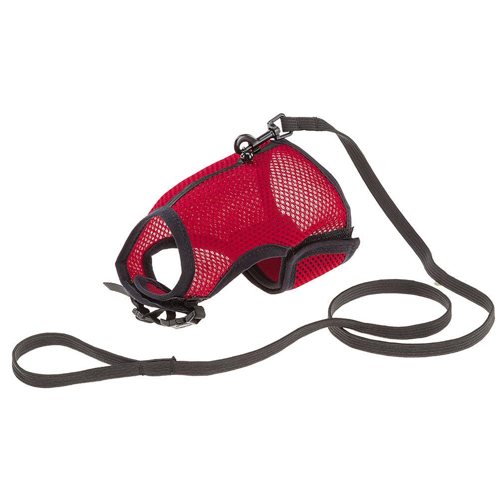 Small Pet Accessories |  Jogging Xl Small Pet Accessories Small Pet Accessories